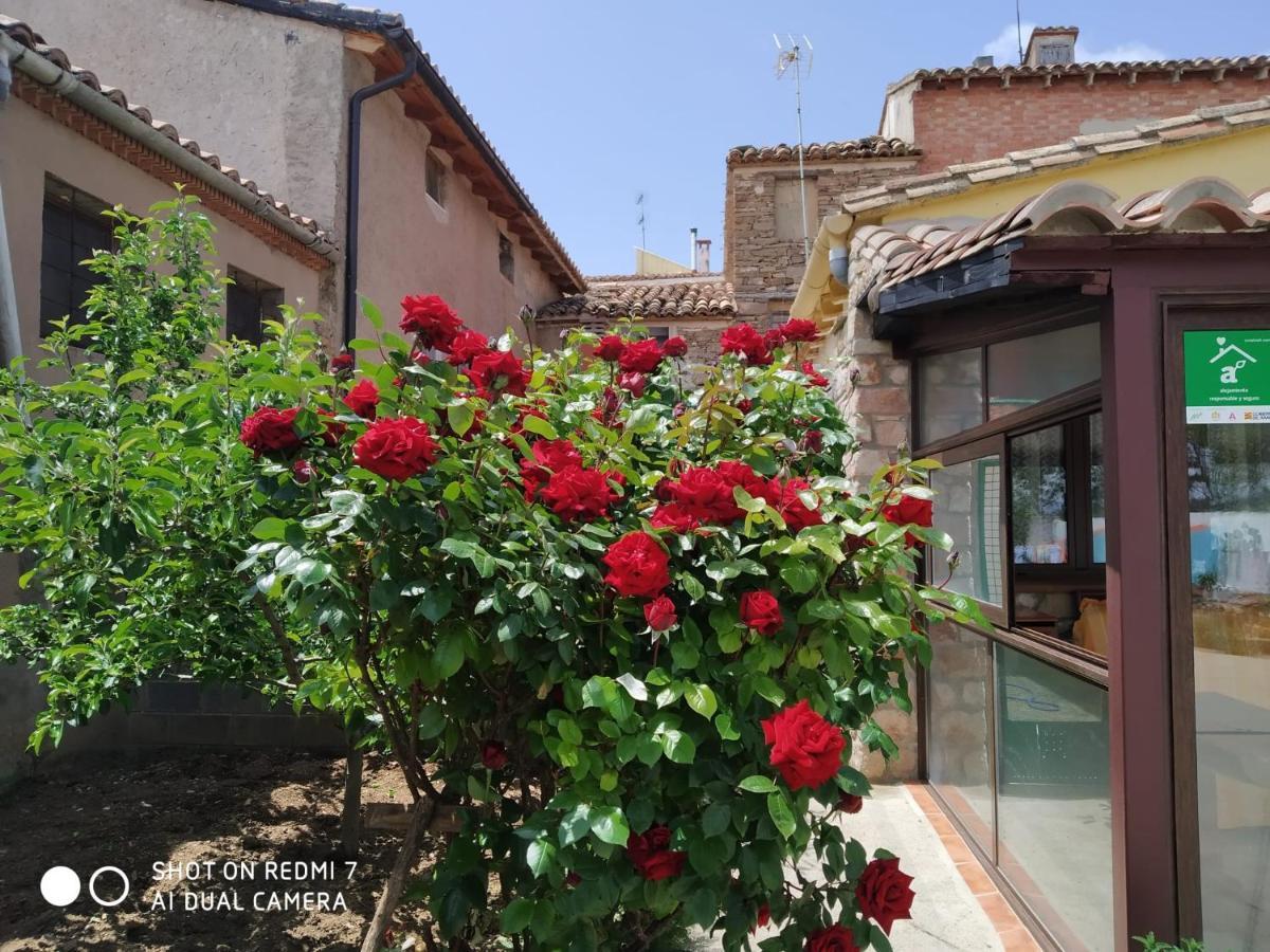 Los Aladros Holiday home